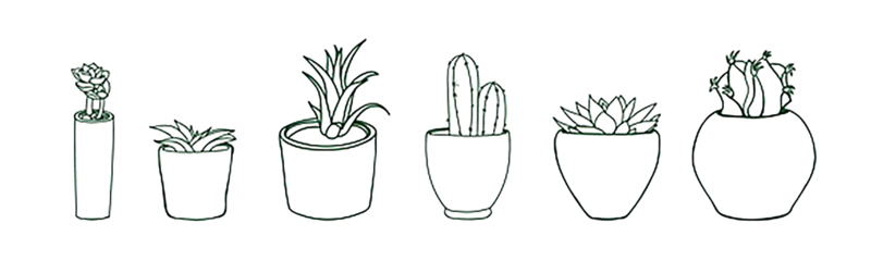清新图片,盆栽元素,线描PNG,手绘免抠素材